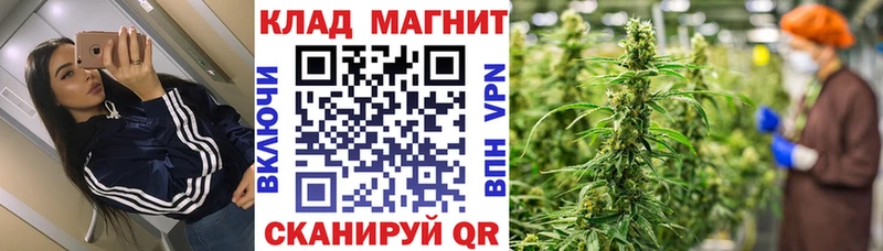 Виды наркоты Новотроицк Альфа ПВП  ГАШ  Бошки Шишки 