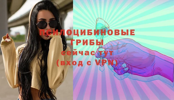 дмт Арсеньев
