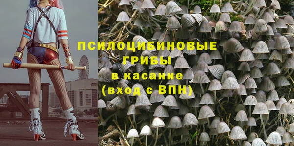 стаф Армянск