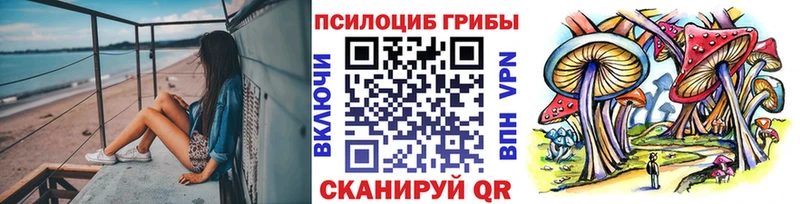 Галлюциногенные грибы Magic Shrooms  omg как зайти  Новотроицк 